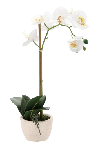 Stabils un elegants pods