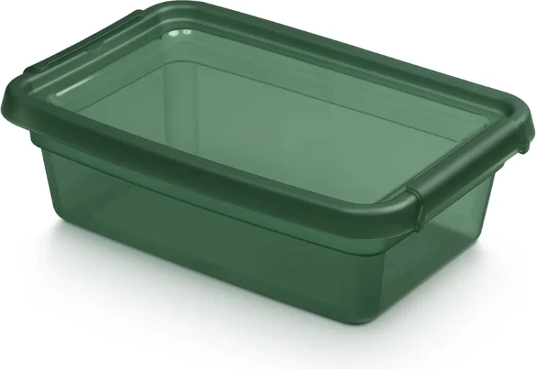 BASESTORE plastmasas uzglabāšanas kaste ar vāku un klipšiem 3 l PINE