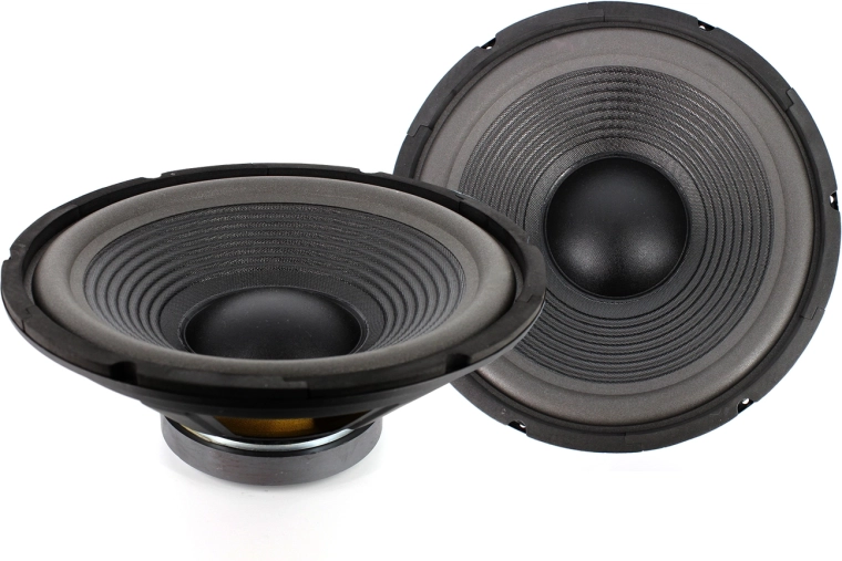 CARGUARD 12-inch 300 W Speaker