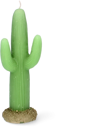 Svece kaktusa formā 17,5 cm – dekoratīva parafīna svece