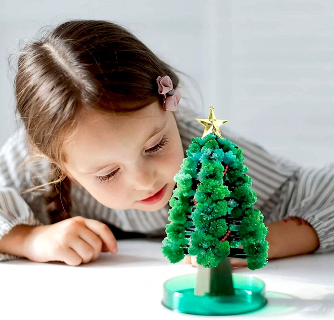 Burvīgā Ziemassvētku egle