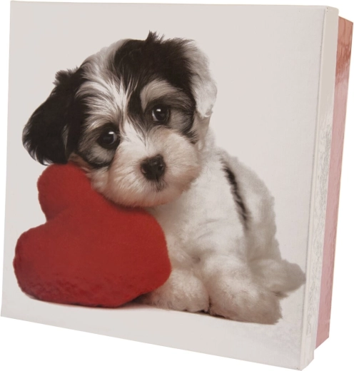 Dāvanu papīra kaste DOG baltā–sarkanā 22 × 22 × 8 cm