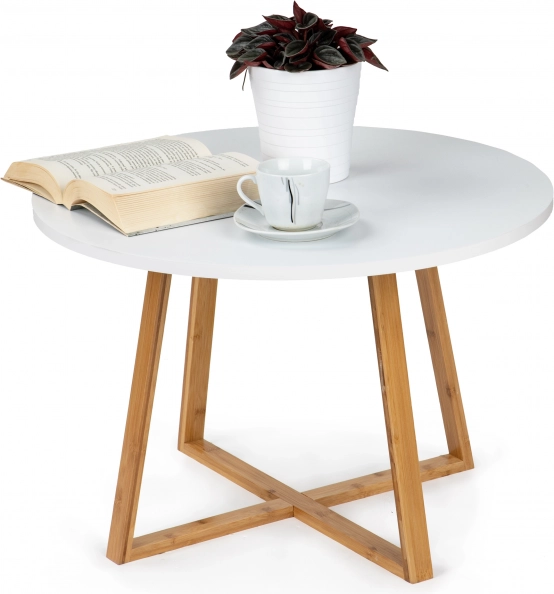 Modern Scandinavian Coffee Table
