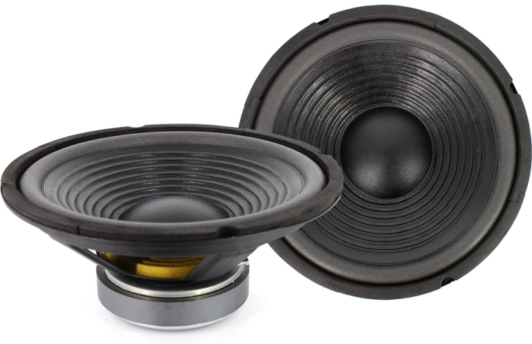 10" Speaker Driver 250 mm 120/240 W