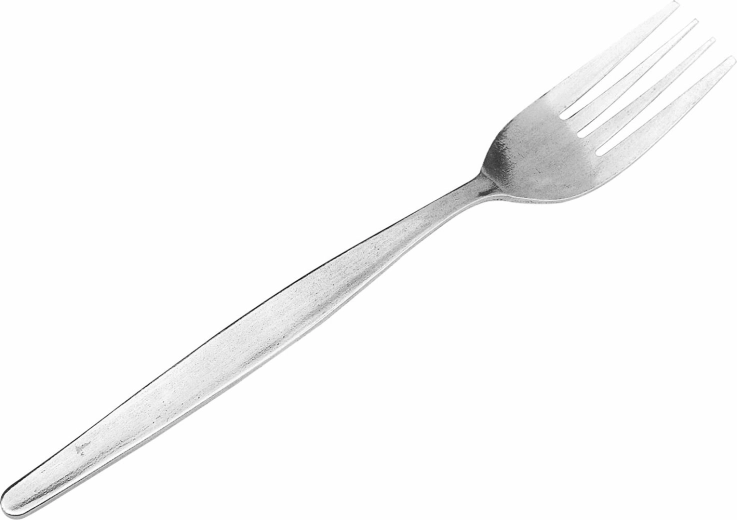 Set of stainless steel dinner forks, 6 pcs