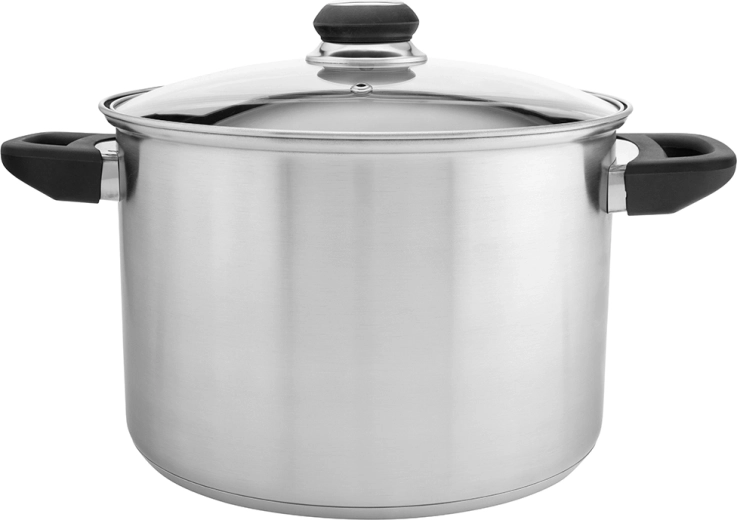 Emilio tall stainless steel pot 7 l with glass lid