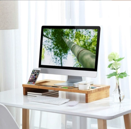 Ergonomiska monitora pacelšana