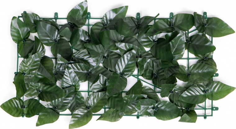 Dabisks lapu izskats visa gada garumā