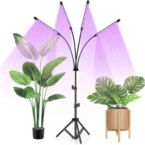 Trīs gaismas režīmi katram augšanas ciklam