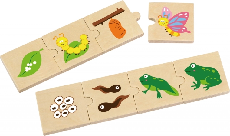 Mācīšanās caur spēli: dzīves cikli rokas stiepiena attālumā