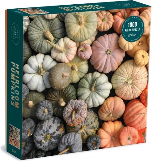 Premium motīvs “Heirloom Pumpkins”