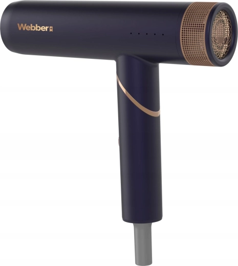 Jonizējoša kopšana gludiem un spīdīgiem matiem