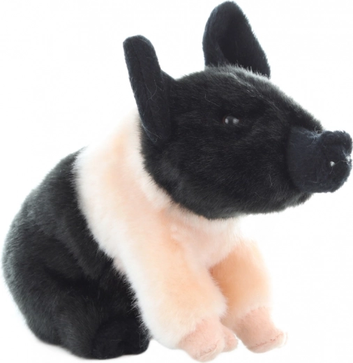 Drošs no piedzimšanas