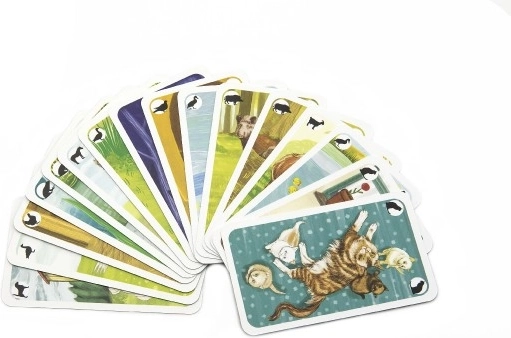 Skaistas ilustrācijas