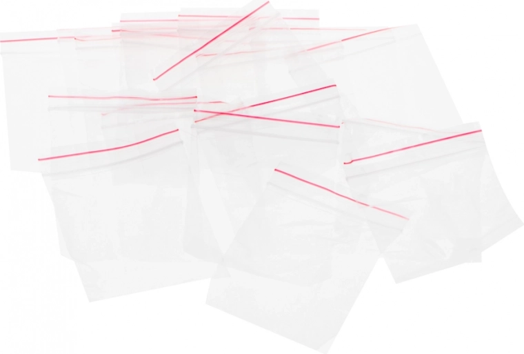 Lieliska organizācija