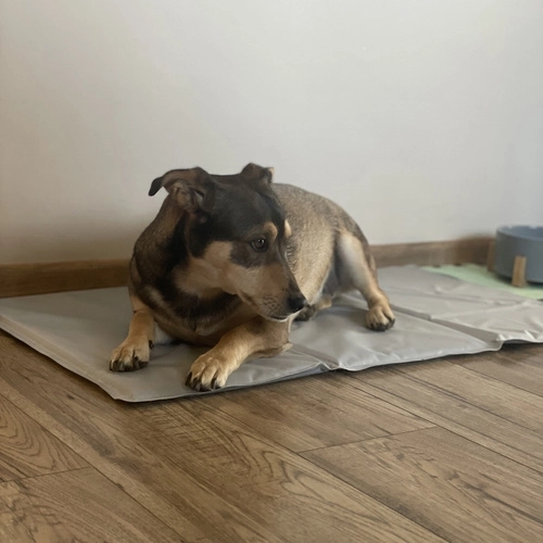 Viegla kopšana un uzglabāšana