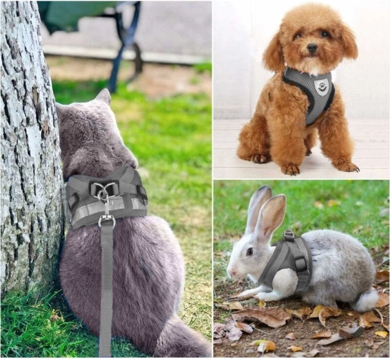 Universāls suņiem, kaķiem un trušiem