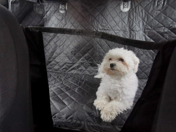 Sieta starpsiena kontaktam un gaisa plūsmai