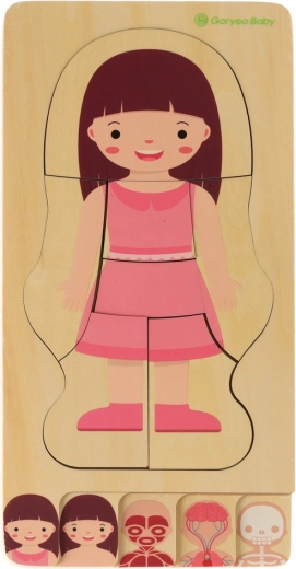 Slāņaina anatomija soli pa solim