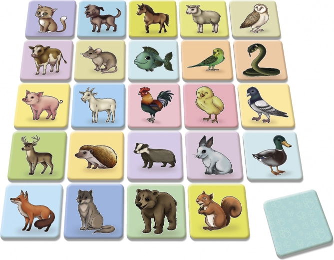 Krāsainas un kvalitatīvas ilustrācijas