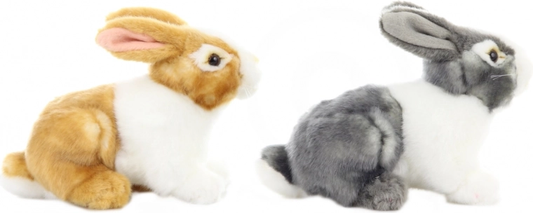 Realistic details and adorable look