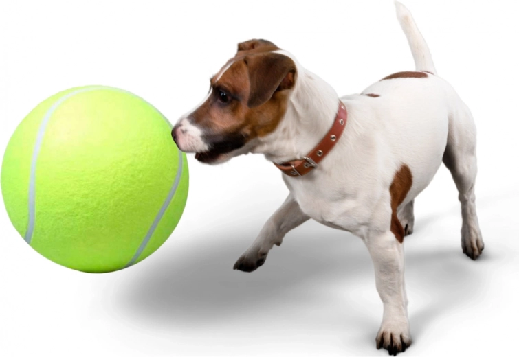 Ideāli piemērota aportam un kopīgai mijiedarbībai