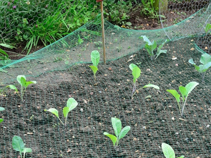 Viegla uzstādīšana un pielāgošana