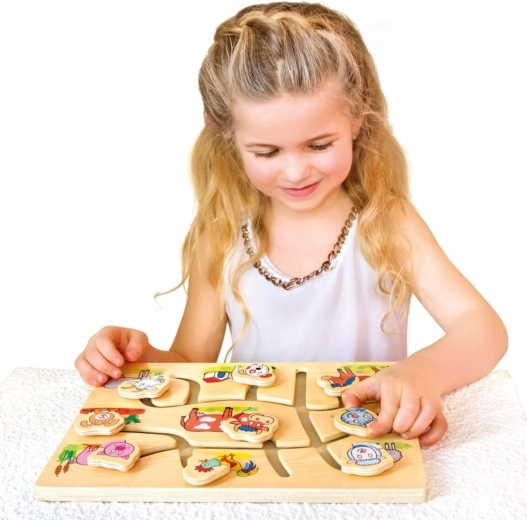Interactive and educational toy