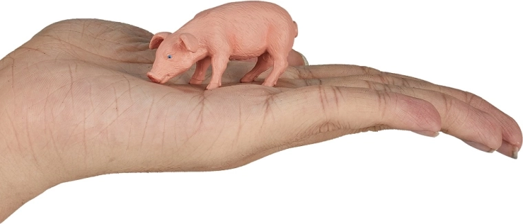 Kompakts izmērs