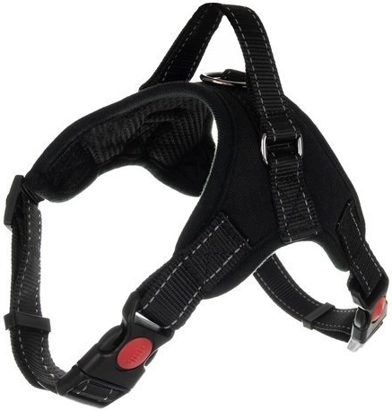 Atstarojoši elementi un robusts D-gredzens