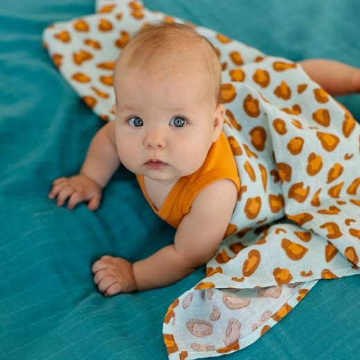 Multifunkcionāla izmantošana