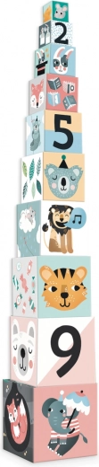 Attractive Illustrations