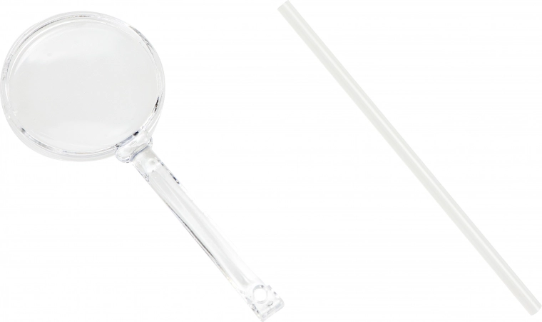 Viss detalizētai vērošanai