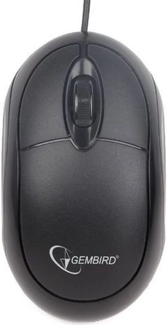Ergonomika jebkurai rokai