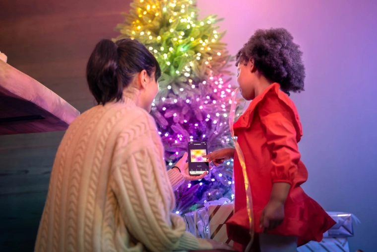 Interaktīva vadība