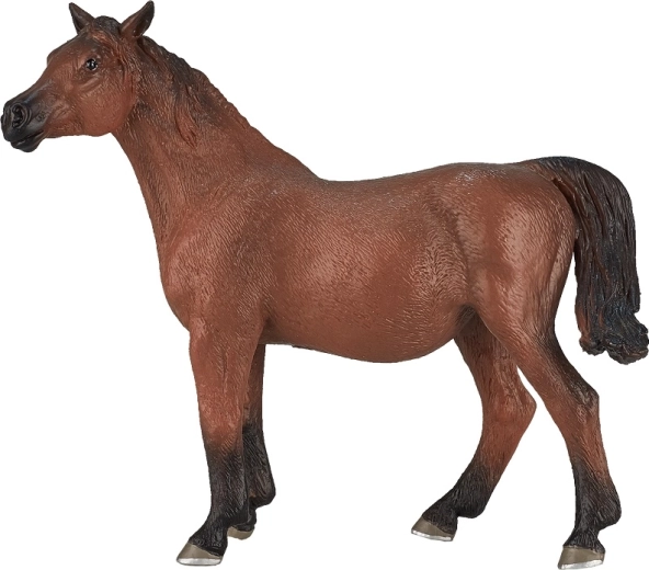 Faithful likeness of an Arabian mare