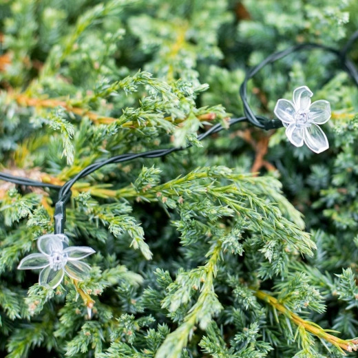 Ziedu dizains un krāšņs efekts