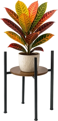 Mūsdienīgs lofta dizains