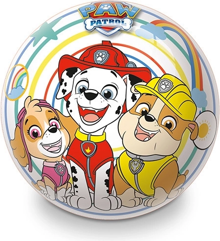 Populārs Paw Patrol motīvs