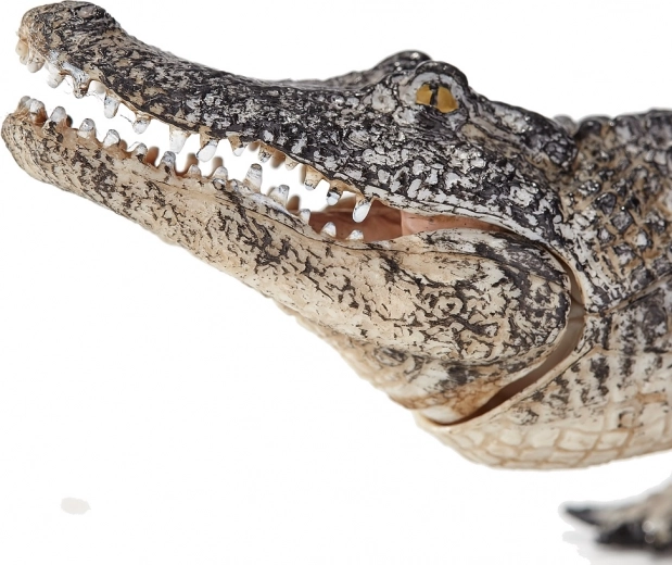 Sadarbība ar speciālistiem