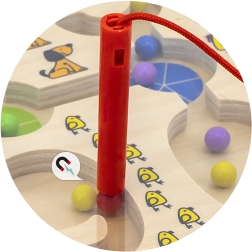 Magnetic Control