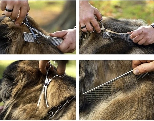 Liels komplekts ar piederumiem maciņā