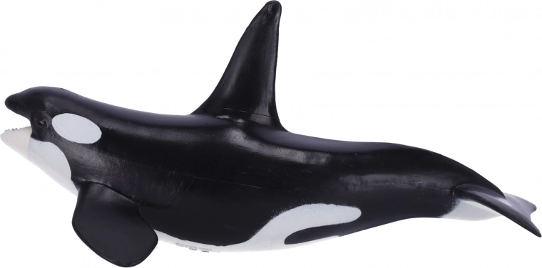 Izglītojoša un kolekcionējama