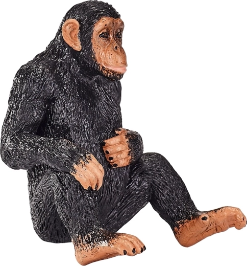 Izglītojoša vērtība