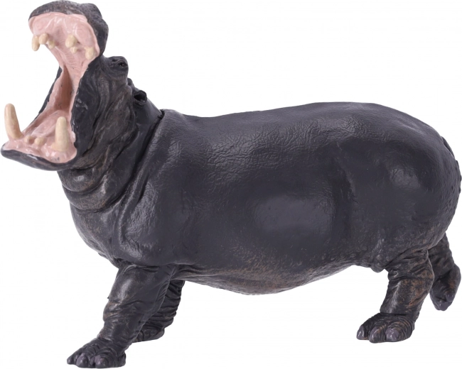 Izglītībai un kolekcionēšanai