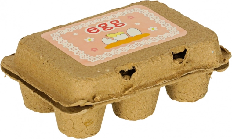 Reālistiska kartona wytlācanka 6 olām