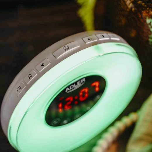 Dabas skaņas un FM radio