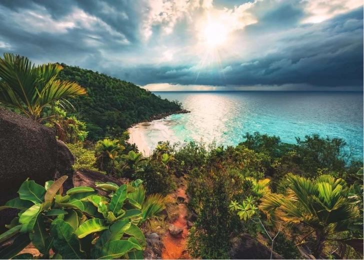 Striking tropical paradise motif