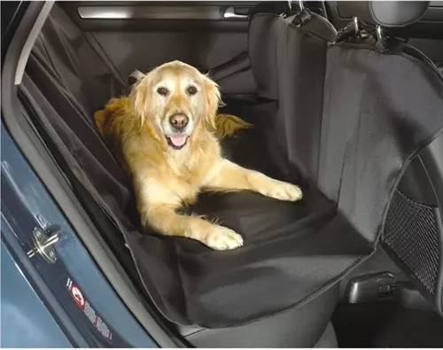 Ērta telpa sunim bez nekārtības