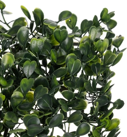 Viegla uzstādīšana